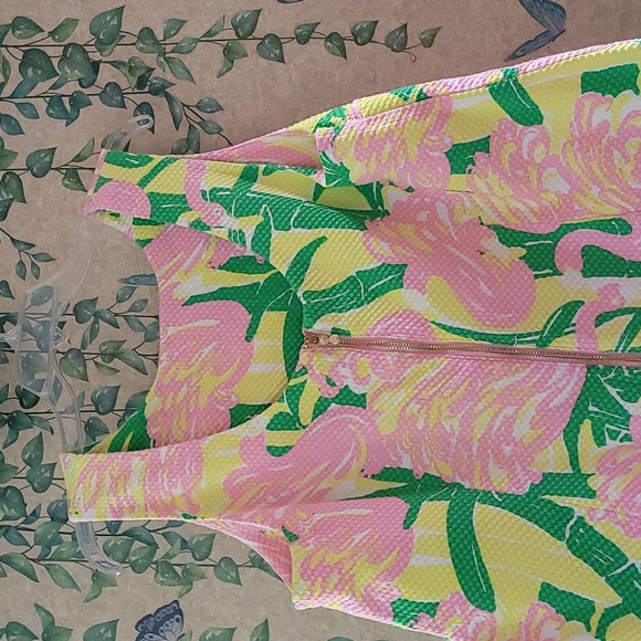 Cute! Lilly Pulitzer for Target flamingo pattern 20th Anniversary dress - Picture 4 of 14